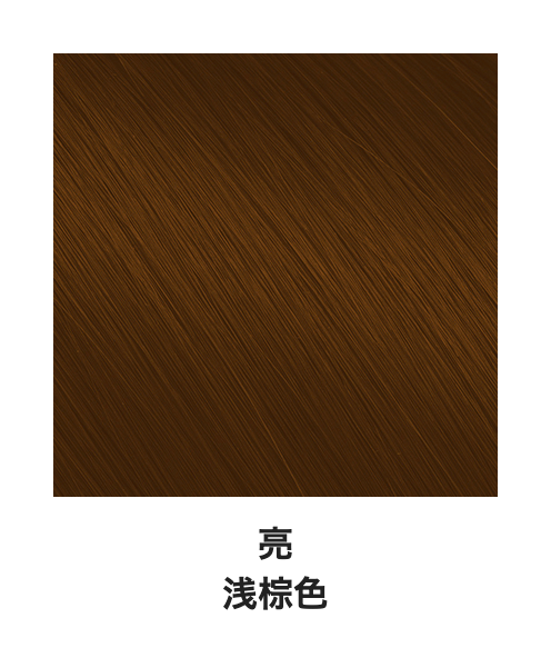 日本DARIYA塔丽雅 白发专用无味无香料泡沫速染染发剂 #3亮棕色 80g
