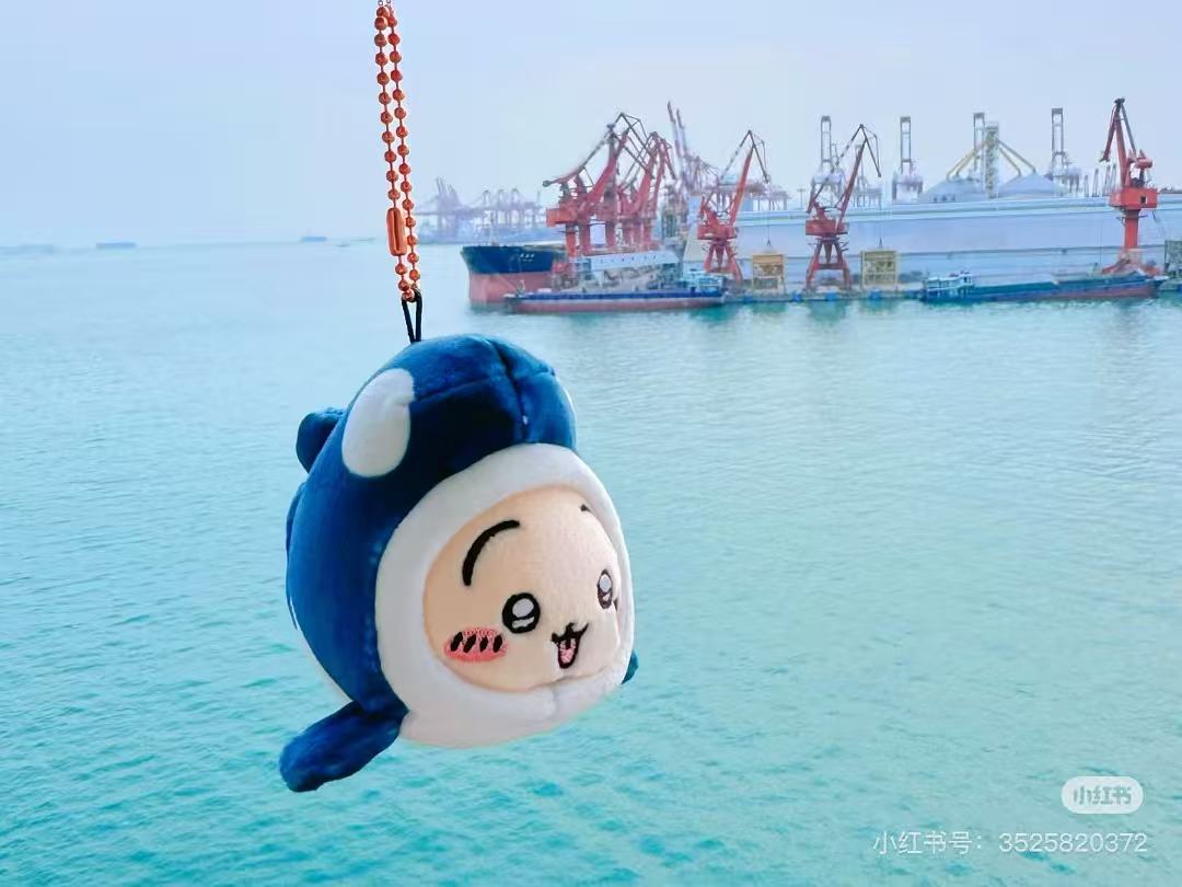 日本chiikawa水族馆系列 虎鲸乌萨奇