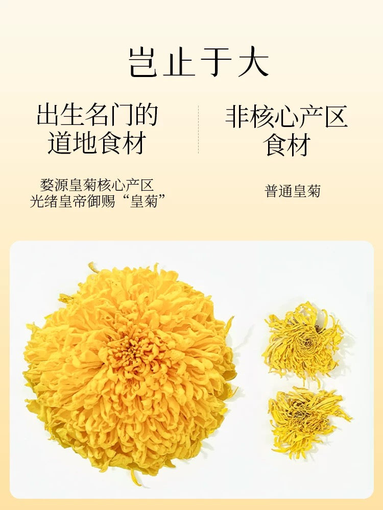 谢怡 婺源大皇菊 高山黄菊一朵一杯 特级野生金丝皇菊