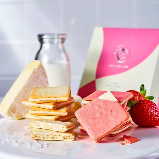 日本东京牛奶芝士工厂 经典盐味&卡门贝尔芝士曲奇 草莓&马斯卡彭芝士曲奇 礼盒 14枚装