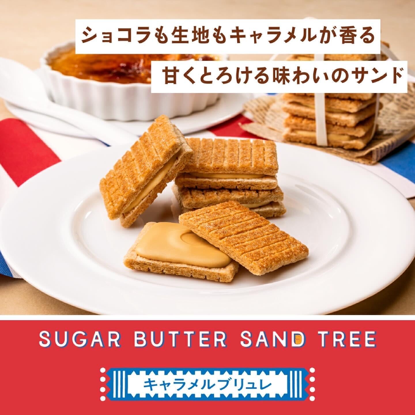 Sugar Butter Tree 黄油树 ✖️焦糖布蕾|秋冬限定口味