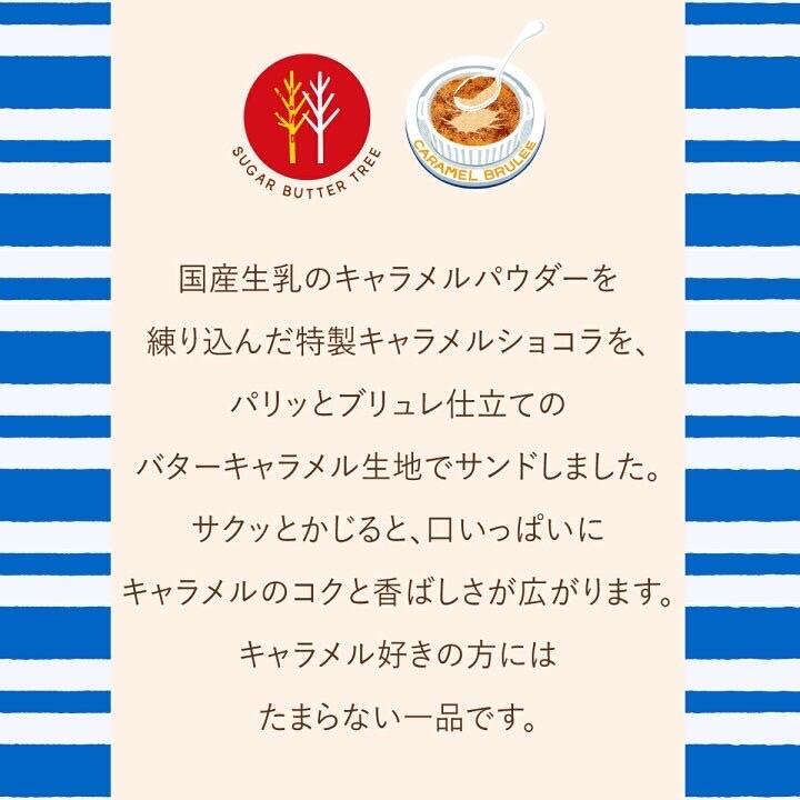 Sugar Butter Tree 黄油树 ✖️焦糖布蕾|秋冬限定口味
