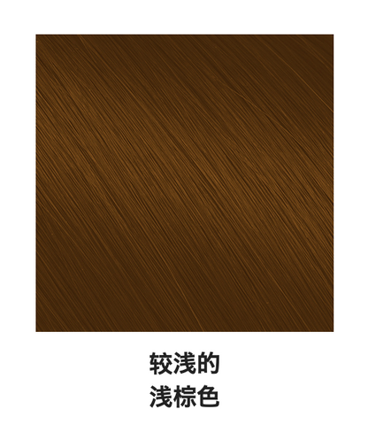 日本DARIYA塔丽雅 白发专用无味无香料泡沫速染染发剂 #2浅棕色 80g