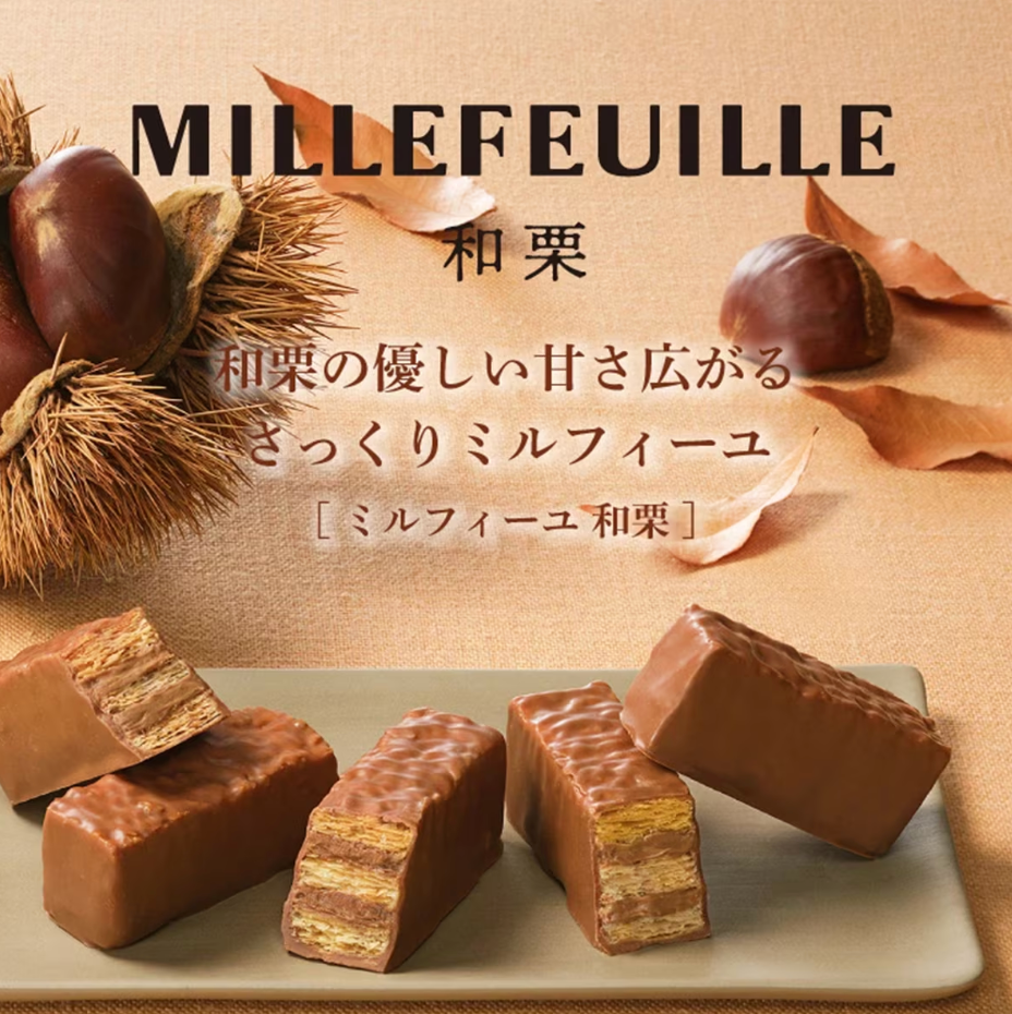 日本Mary's 季节限定 和栗 法式巧克力千层酥 10枚装