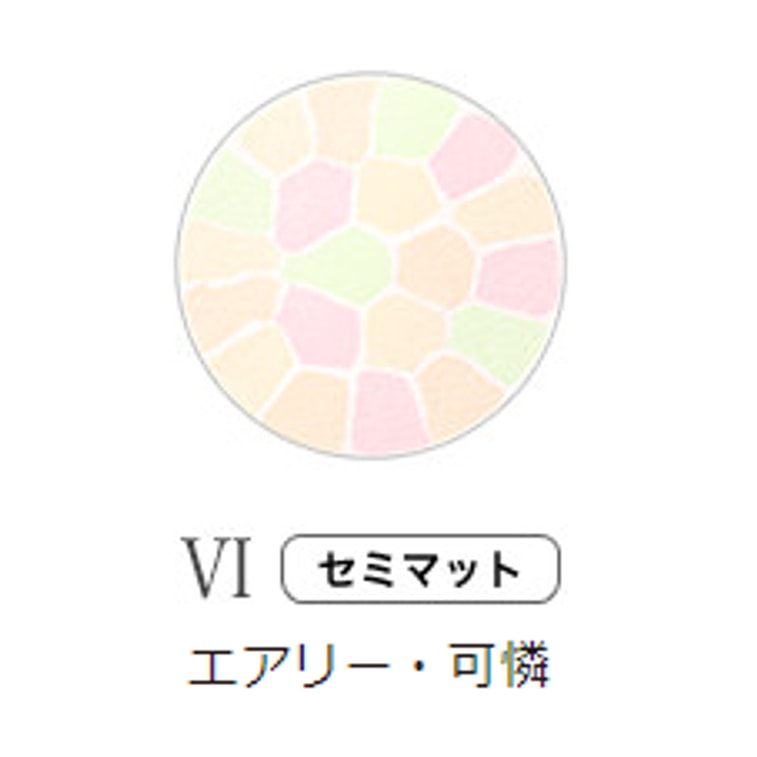 日本ALBION Elegance 雅莉格丝 E大饼 8.8g便携装 #06