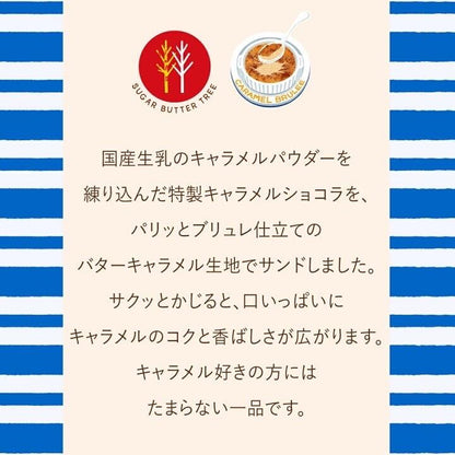 Sugar Butter Tree 黄油树 ✖️焦糖布蕾｜秋冬限定口味